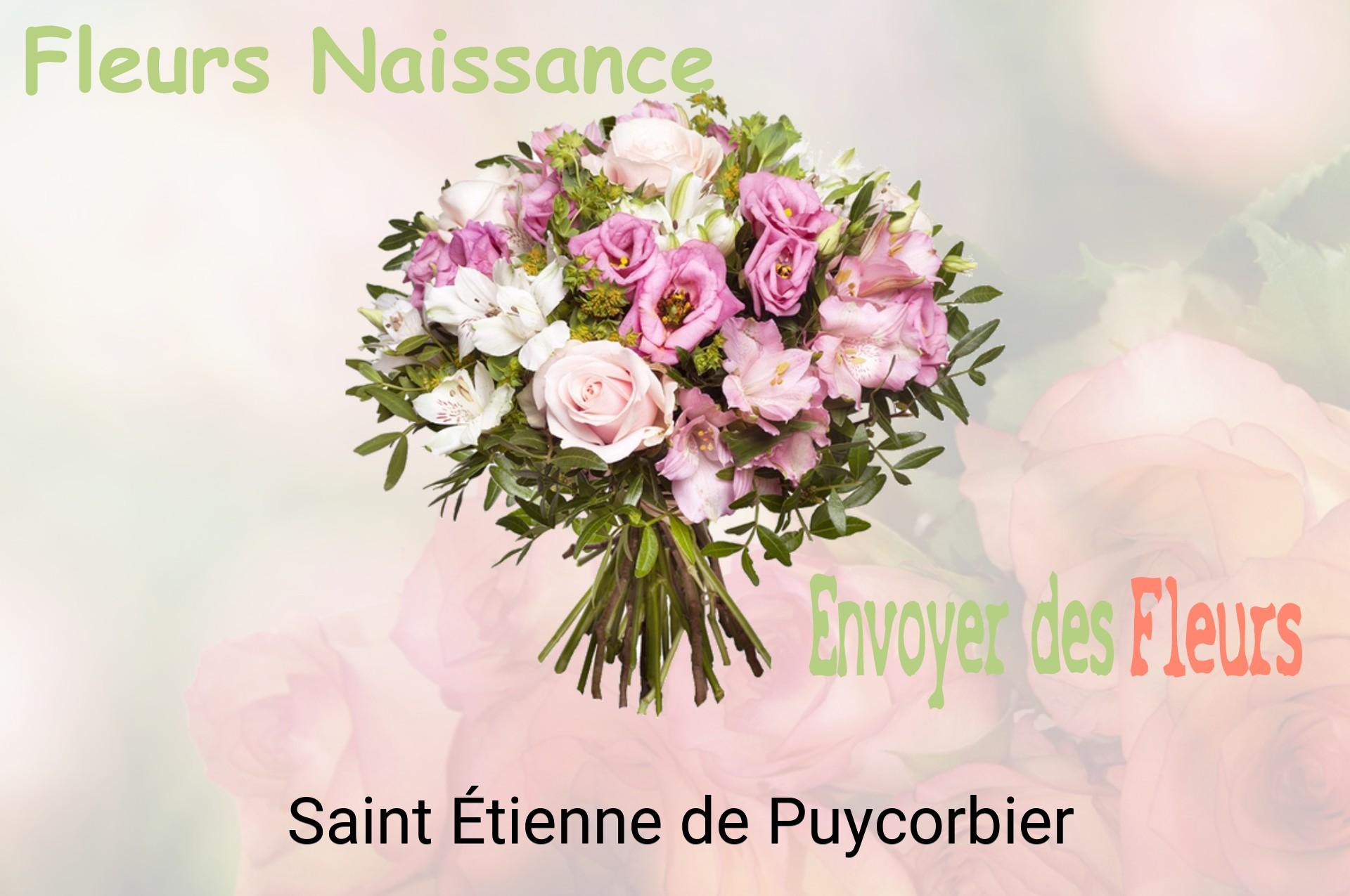 Bouquet de fleurs de naissance livré à Saint-Étienne-de-Puycorbier